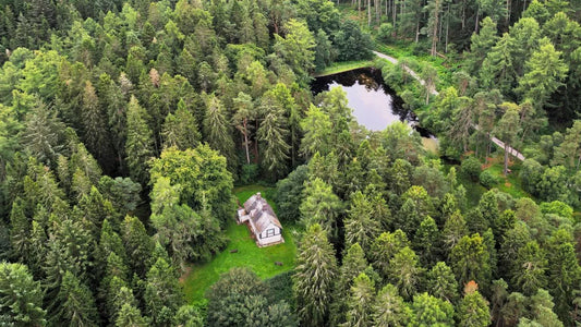 Overhead picture of lodge in forest