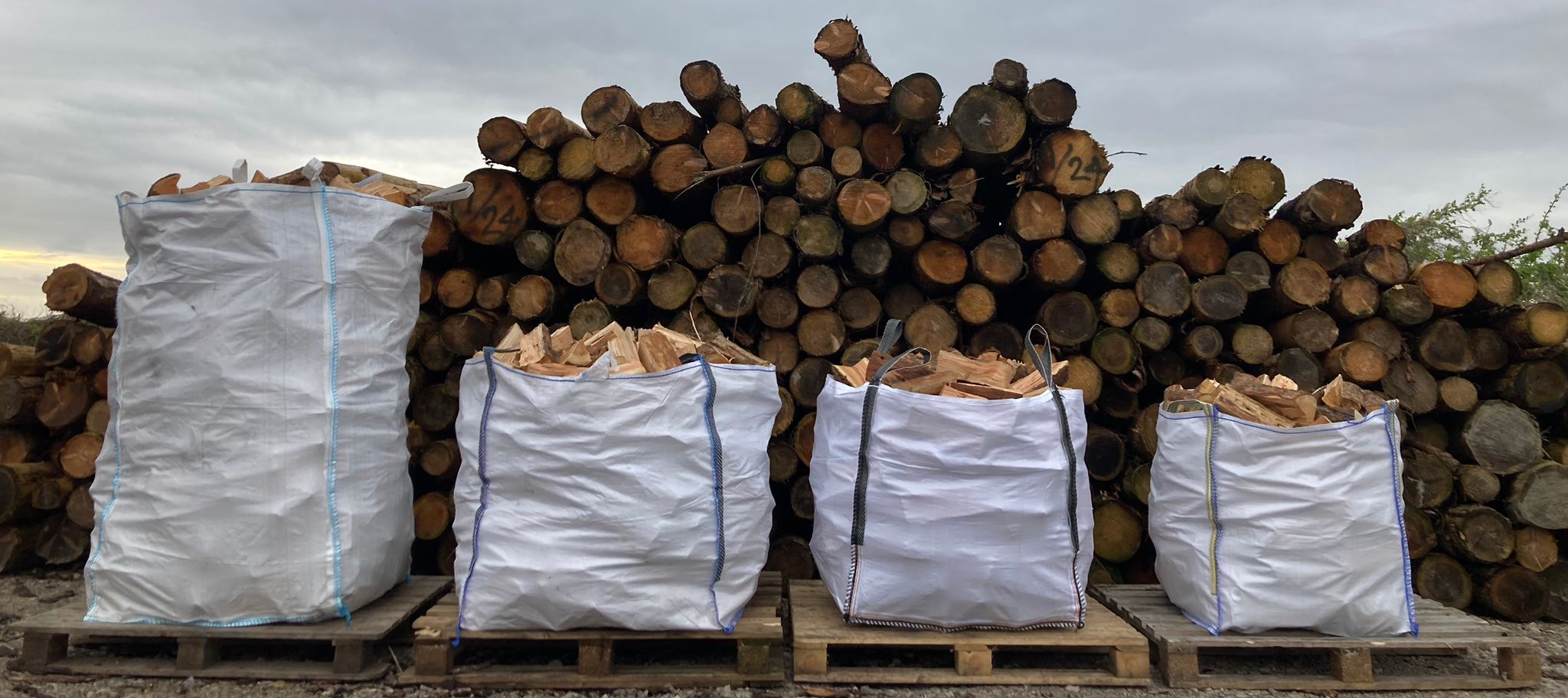 Kiln Dried Logs for Sale in Bulk Bags - Log Club